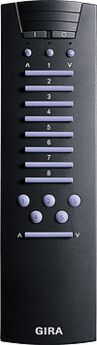 Pilot radiowy